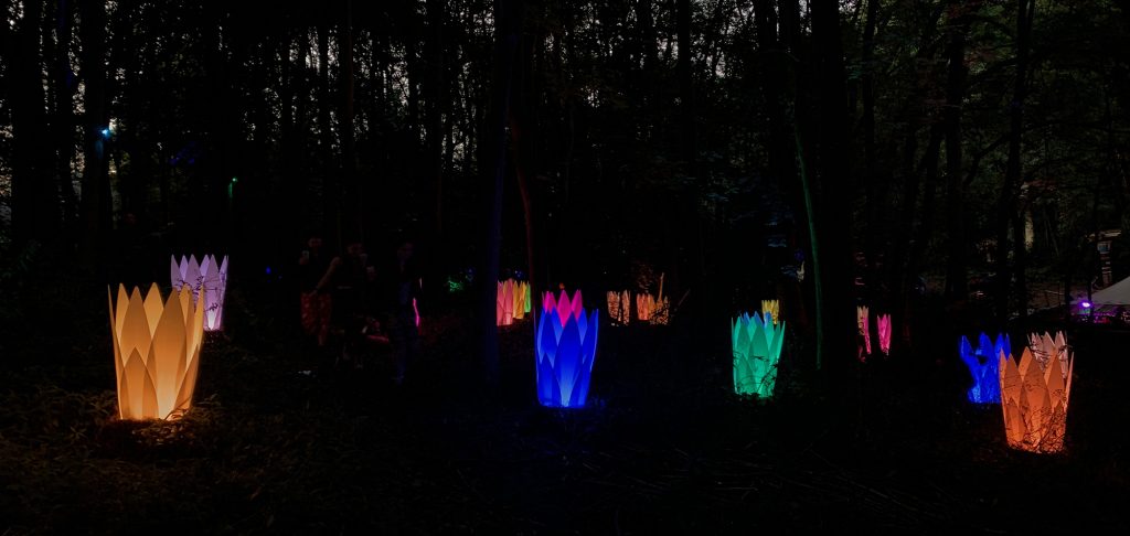 These tulip style lamps were dotted throughout the forest - they light up brightly in lots of different colours and looked so beautiful! These were new for Noisily Festival 2019.